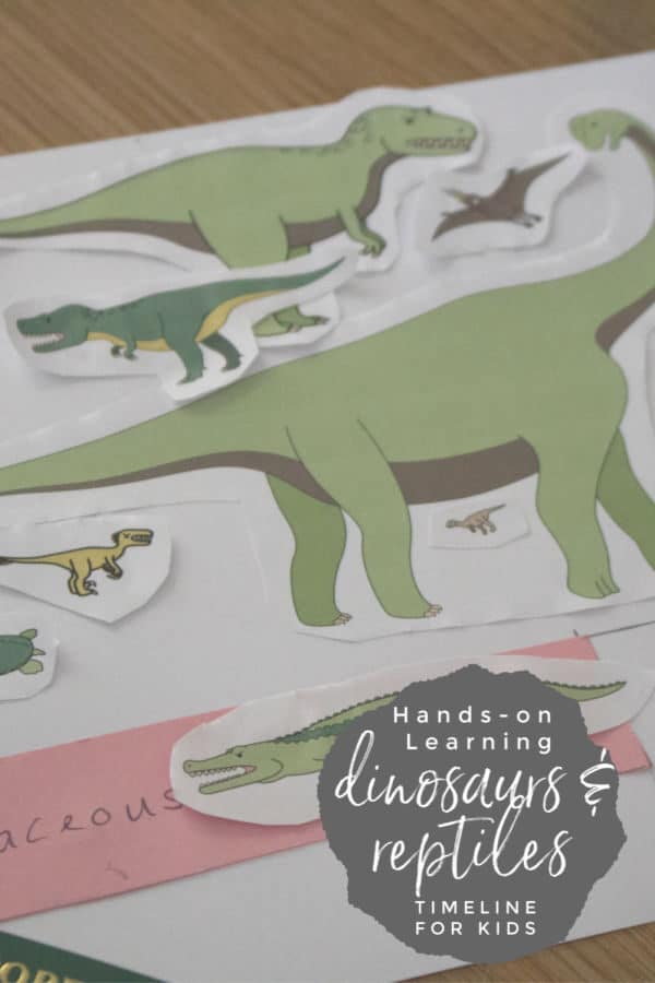 Hands-on Learning Dinosaur Timeline