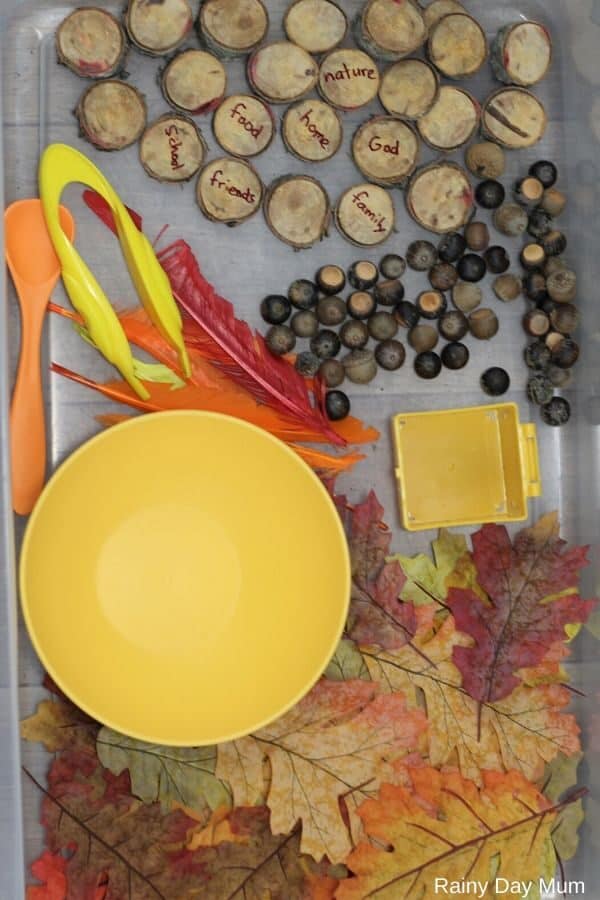Top down view of a simple sensory bin set up for fall and thanksgiving with leaves, acorns, wood slices and turkey feathers plus tools for scooping, picking and more. Some of the wood slices have words of gratitude on them.