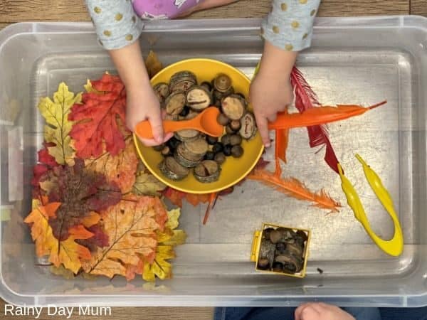 Making Thanksgiving pretend soup in a sensory bin set up for toddlers and preschoolers to play together