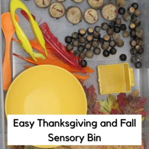 Easy Thanksgiving and Fall Sensory Bin