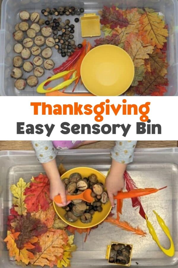 Pinnable image for a Thanksgiving Easy Sensory Bin showing it set up and a child playing in the sensory tub