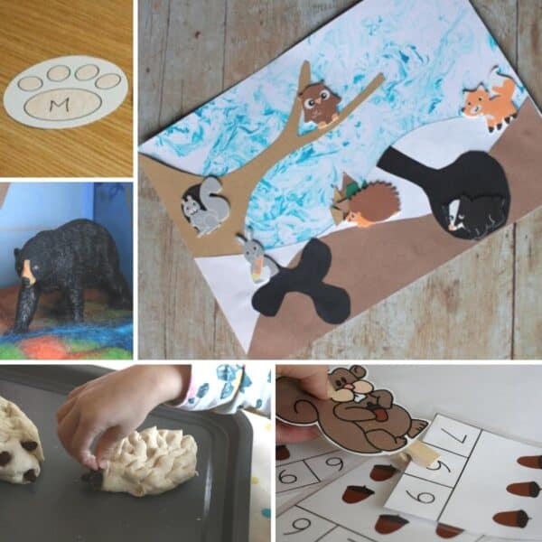 Collage of some of the activities and crafts for toddlers and preschoolers on the theme of winter and hibernating animals