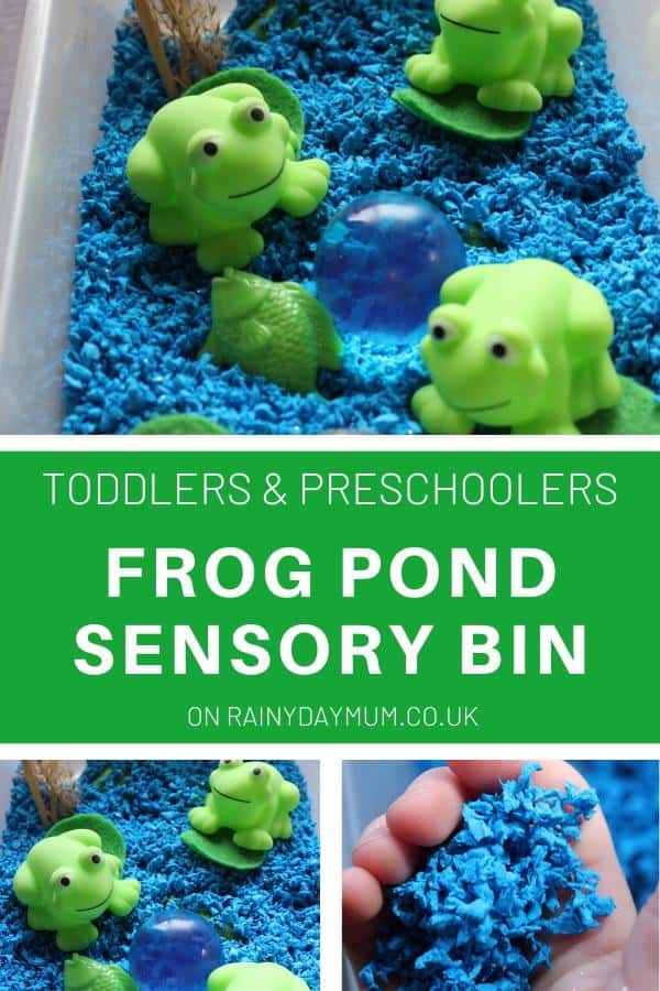 Toddler and Preschool Frog Pond Sensory Bin
