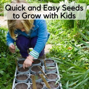 Quick Growing Seeds for Flowers and Vegetables to Grow with Kids