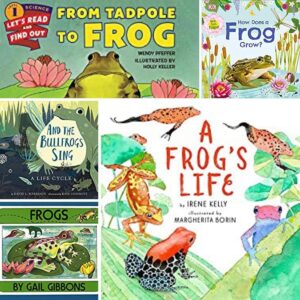 The Best Books about the Frog Life Cycle for Young Children