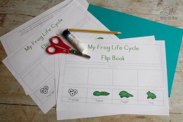 frog life cycle flip book free printable sheets and card with scissors, glue stick and pencil ready for a preschooler to create 