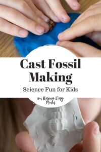 collage of kids making a fossil cast of a shell