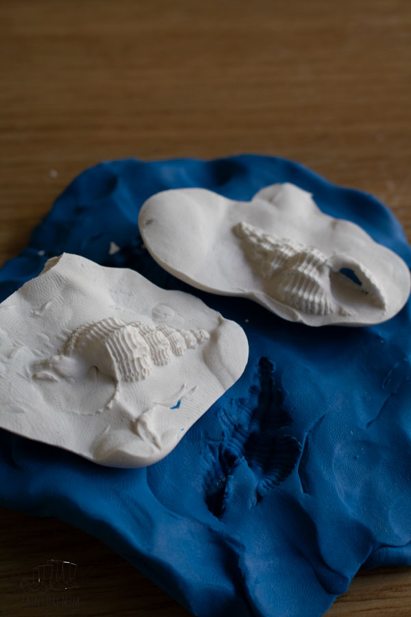 fossil making activity for kids