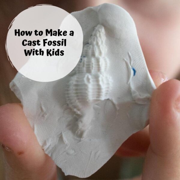 cast fossil making science experiment for kids
