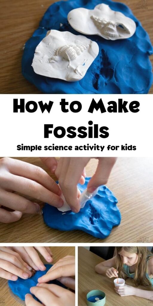How to make fossils Pinterest Image