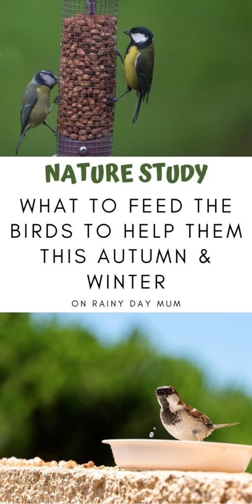 Pinterest image for kids nature study - what to feed the birds