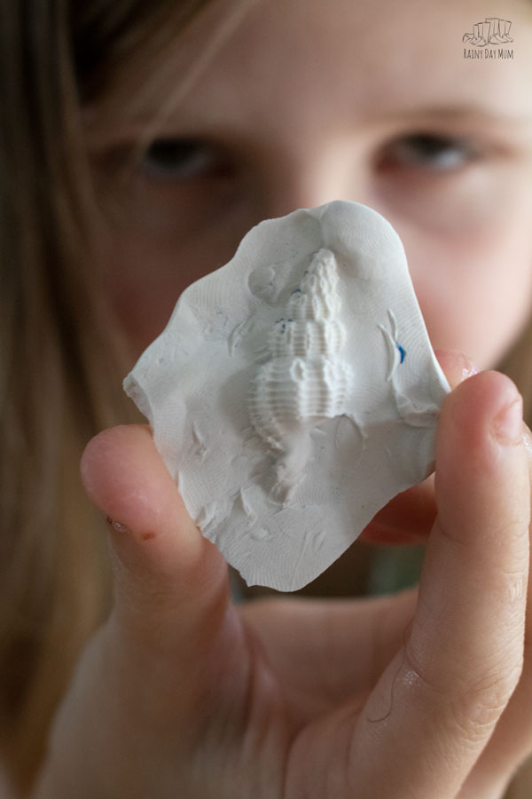 shell cast fossil made and held by a child