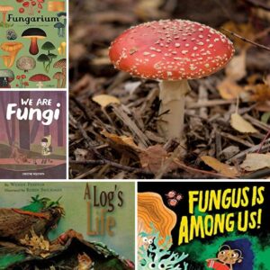 Interesting Fungus Books for Nature Study with Kids