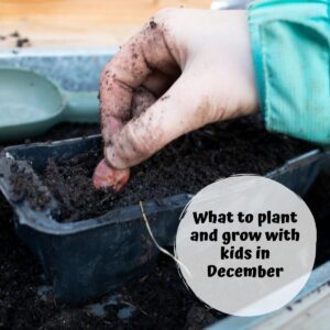 What to Plant with Kids in December