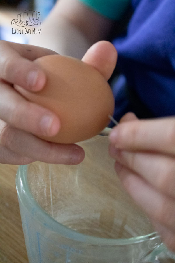 piercing the top of an egg with a needle to start the process on blowing the eggs to decorate for Easter