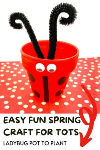 Pinterest image of the close up of a ladybird planter that kids can make text reads Easy fun spring craft for tots ladybug pot to plant