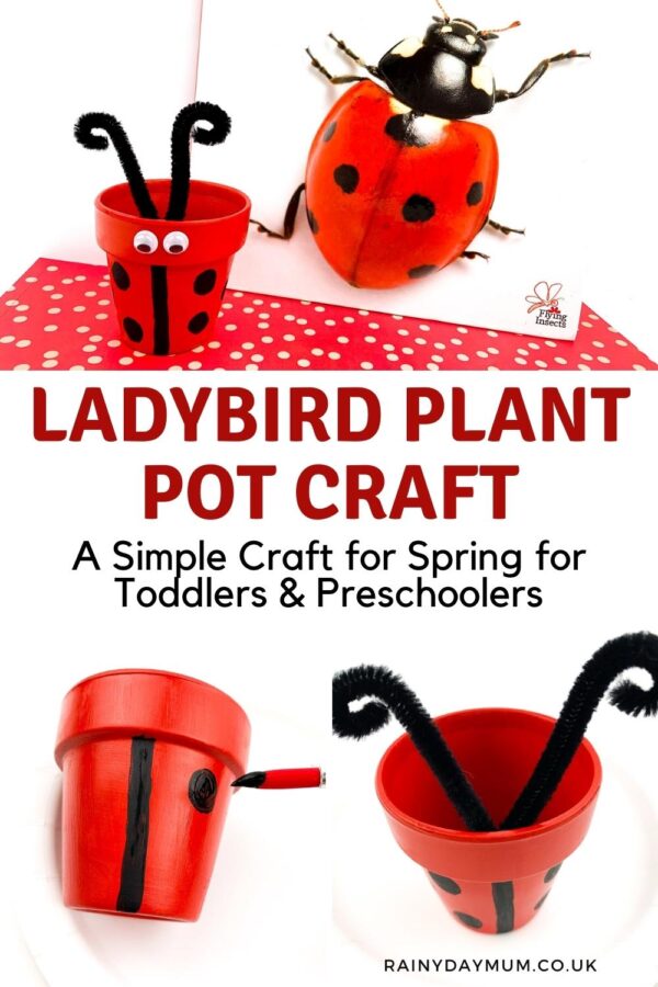 Pinterest image of a ladybird plant pot craft for spring to make with toddlers and preschoolers. Images in the collage show the finished pot beside a ladybug flying insects book and below 2 of the stages of making the pot