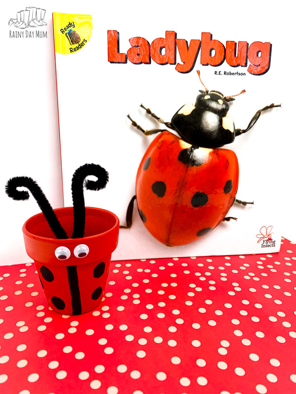 ladybug clay pot infront of the book Ladybug Flying Insects that inspired by the kids craft