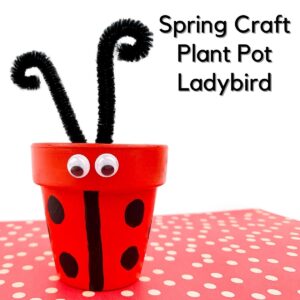 Terracotta Pot Ladybird Craft & Book