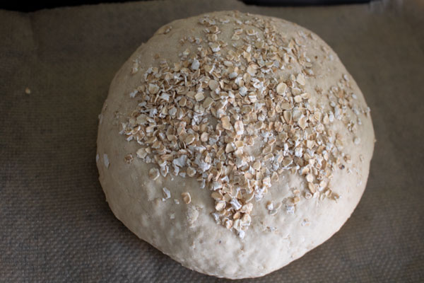 oats sprinkled on the top of a loaf of viking bread ready to go into the oven