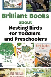 Pinterest image for Brilliant Books about Nesting Birds for Toddlers and Preschoolers showing the covers of the books