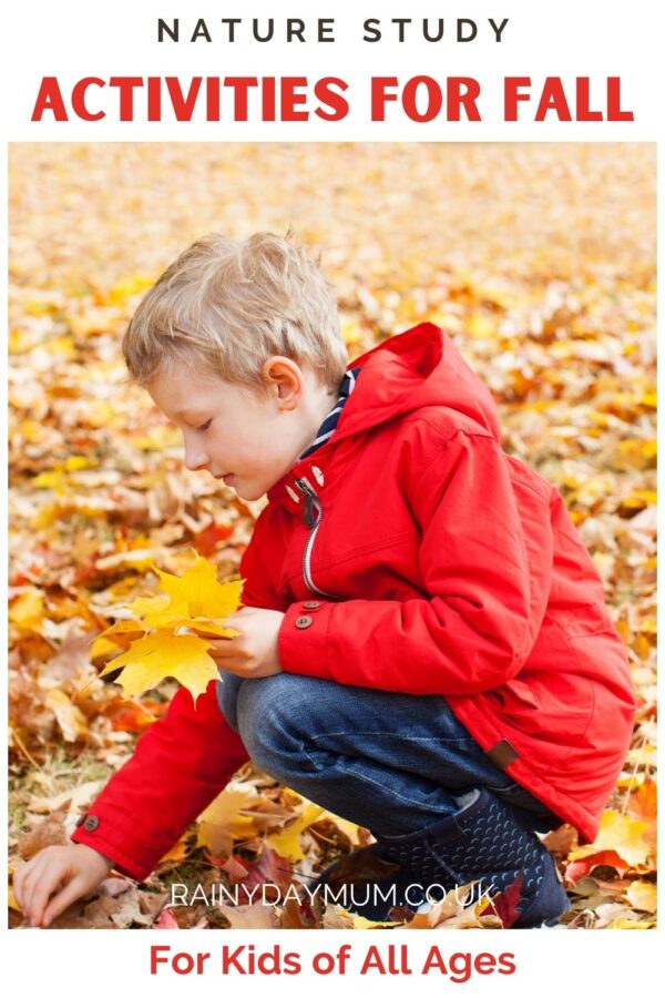 Nature Study Activities for Fall for Kids of All Ages Pinnable image the image shows a child picking up leaves from the floor in a bright red waterproof coat