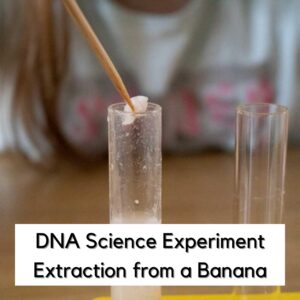 How to Extract DNA from a Banana