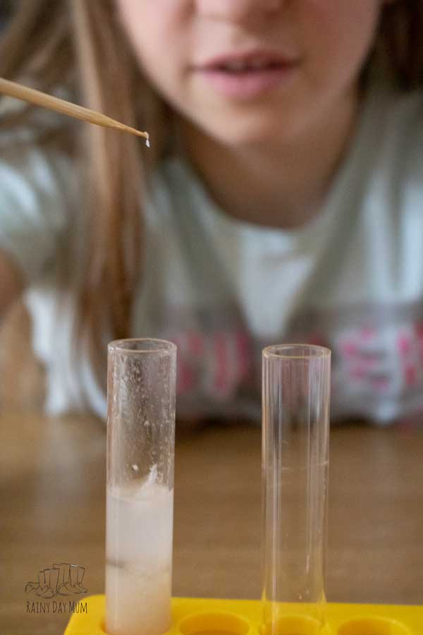 girl holding a skewer with strands of DNA on the end that she has extracted with a simple science experiment from a banana