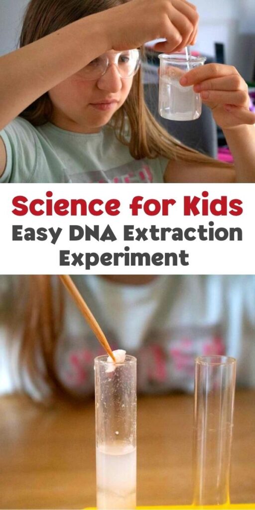 Science for Kids how Easy experiment to extract DNA from a banana