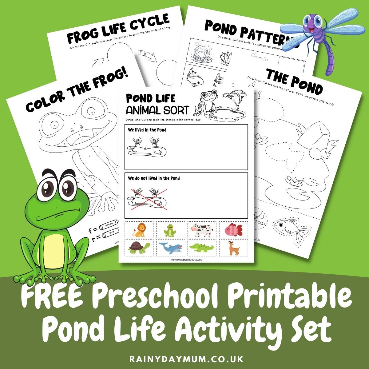 FREE Preschool Printable Pond Life Activity Set Sample Pages for promotion