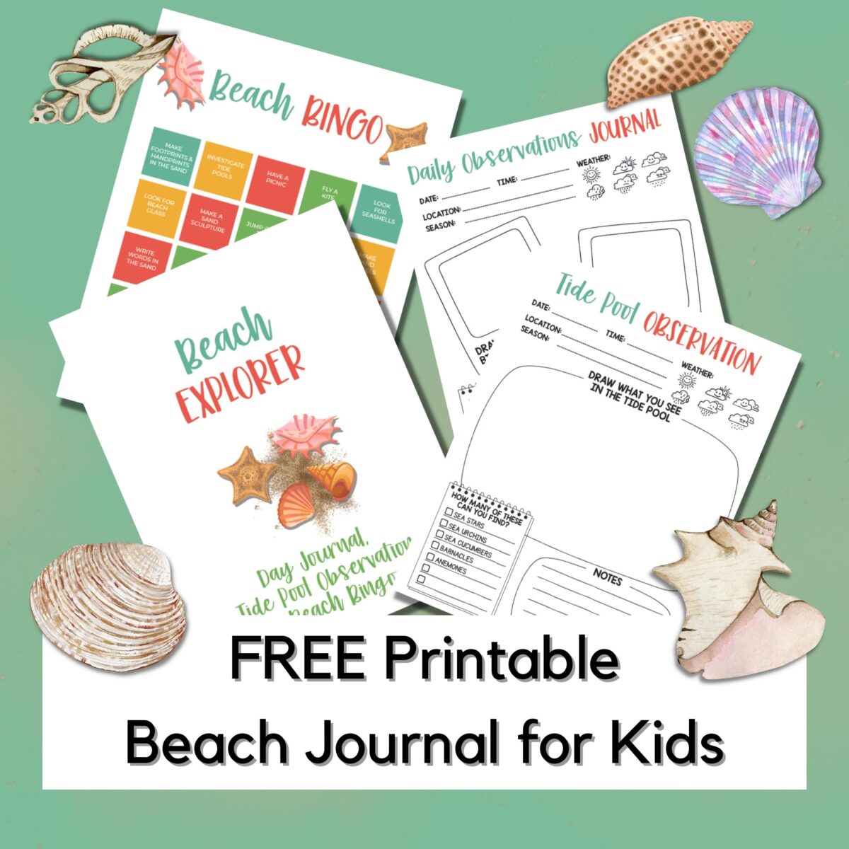 Summer Nature Study free printable for kids, including rock pool observation sheet, beach bingo of fun activities and a beach nature journal to complete daily.