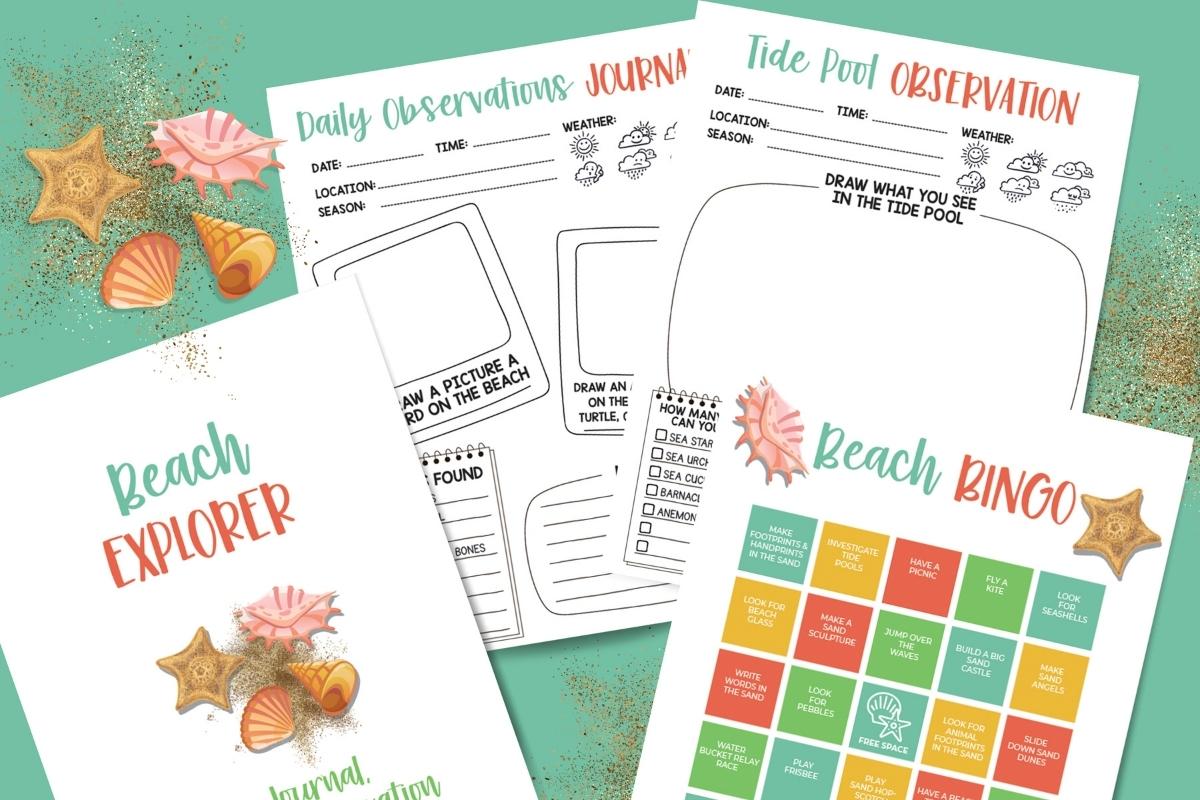 Sample pages of the FREE printable beach explorer nature journal for summer fun with your kids from Rainy Day Mum.